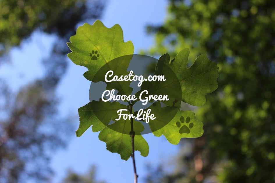 Casetog - Choose Green for Life